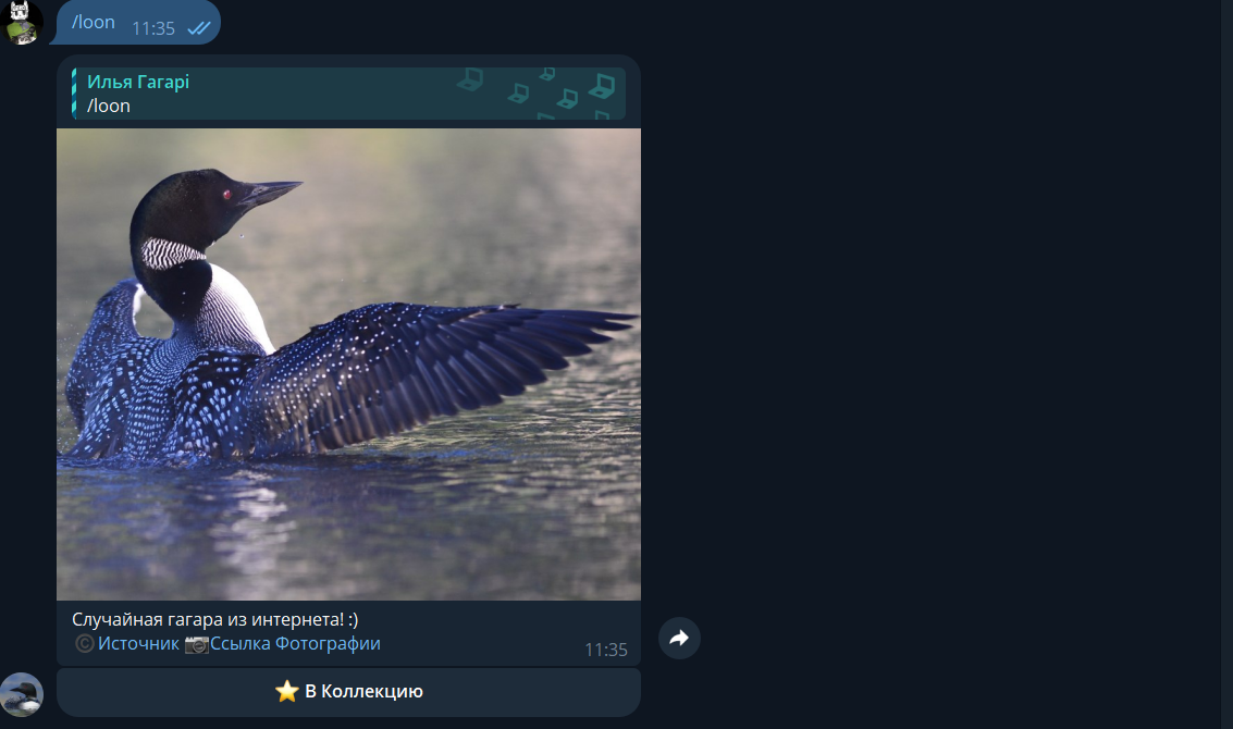Telegram Loon Bot